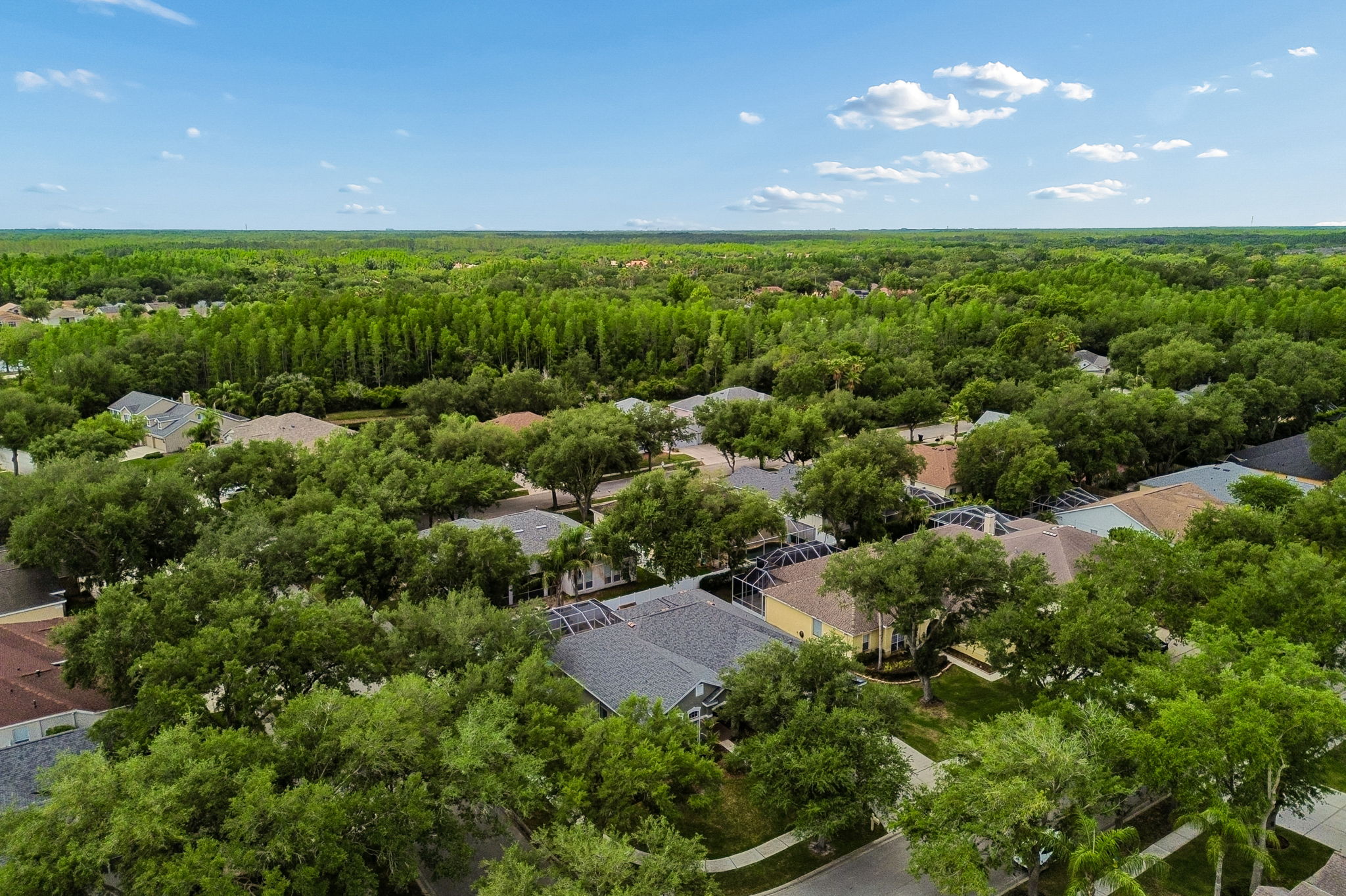 DJI_0040