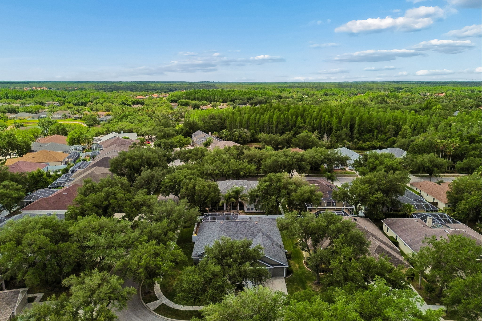 DJI_0043