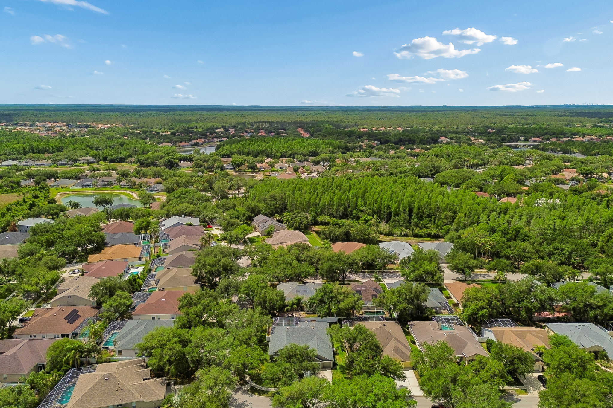 DJI_0064