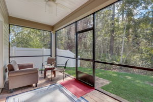 Nala ln-041