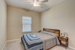 Nala ln-028
