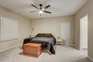 Nala ln-031