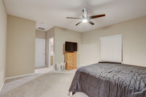 Nala ln-034