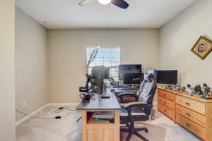 Nala ln-020
