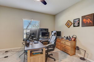 Nala ln-021