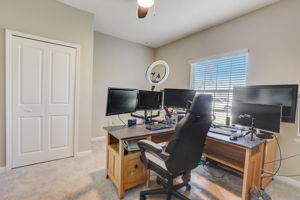 Nala ln-019