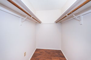 Master Bedroom Walk-in Closet