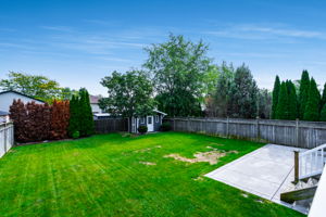  Photo 45
