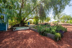 10262 Selkirk Ave, Riverside, CA 92503, USA Photo 35