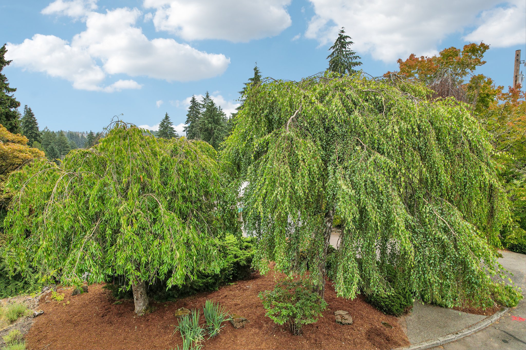 Crestwood Ln-S2907-078.jpg