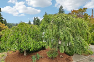 Crestwood Ln-S2907-078.jpg