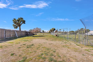  Photo 49