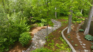  Photo 37