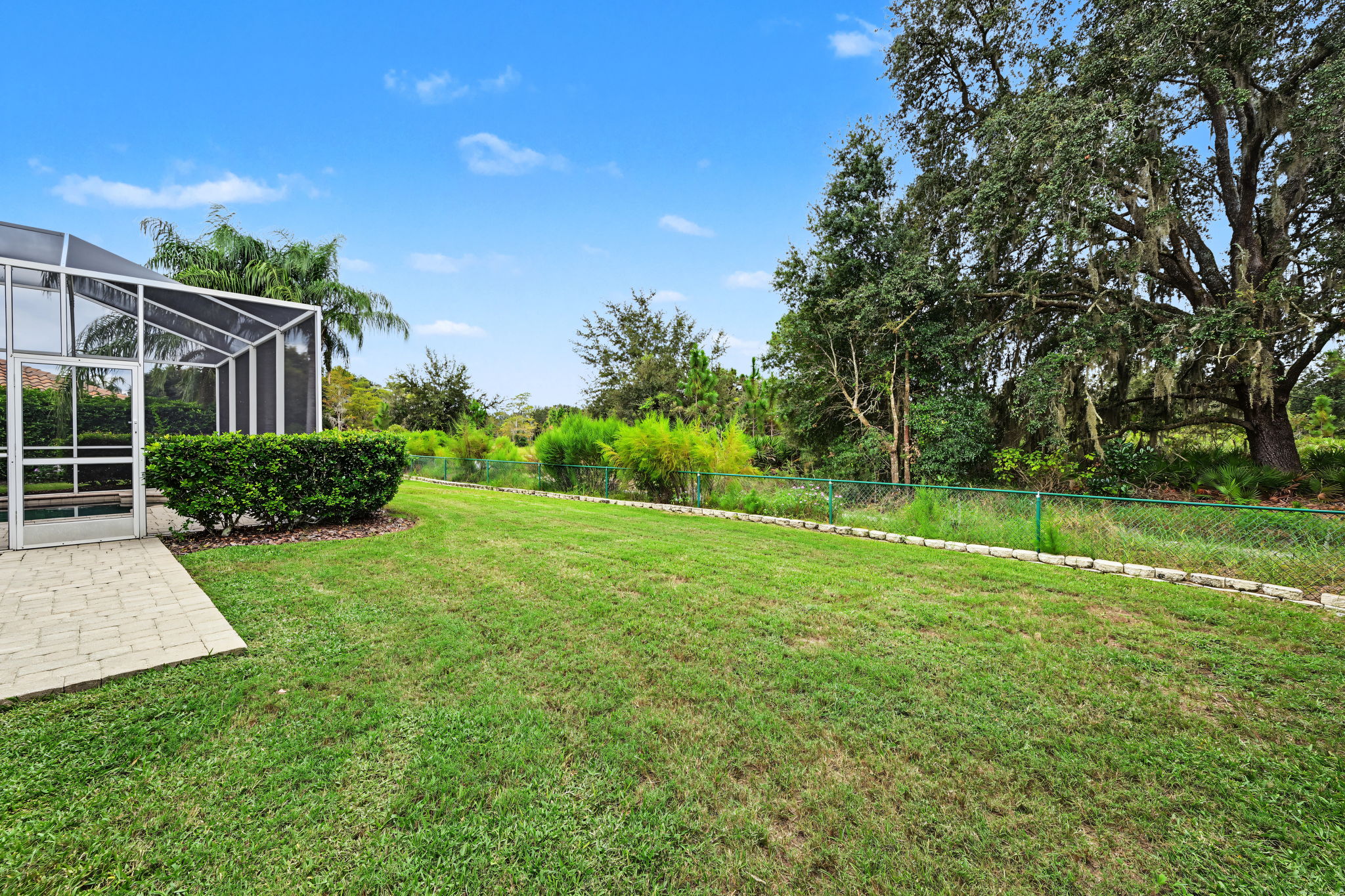 Backyard1