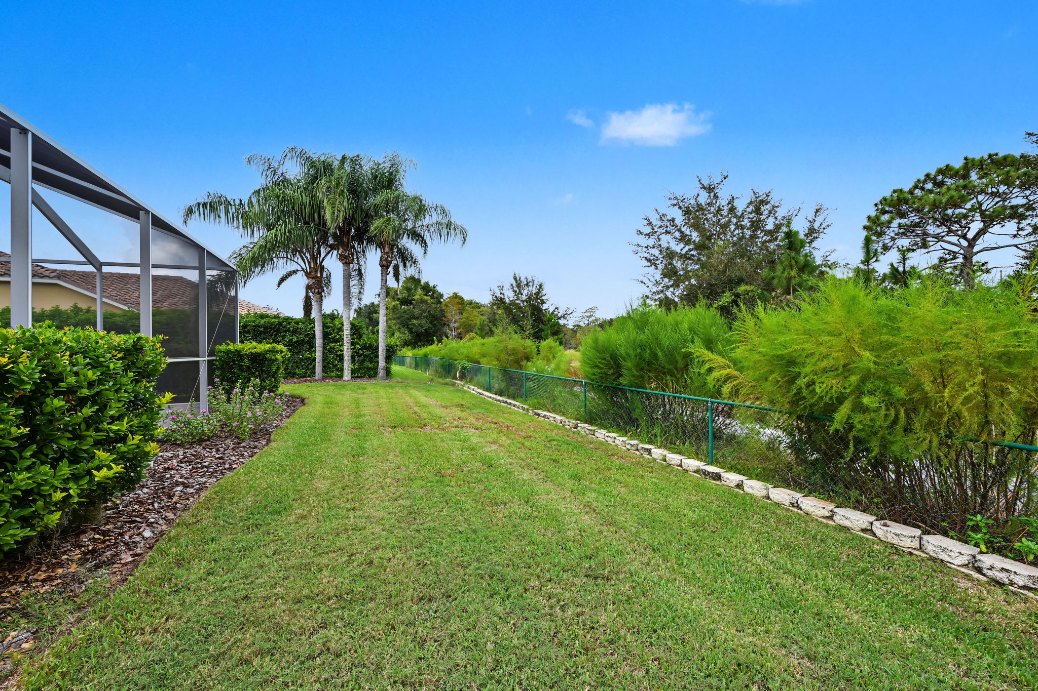 Backyard2