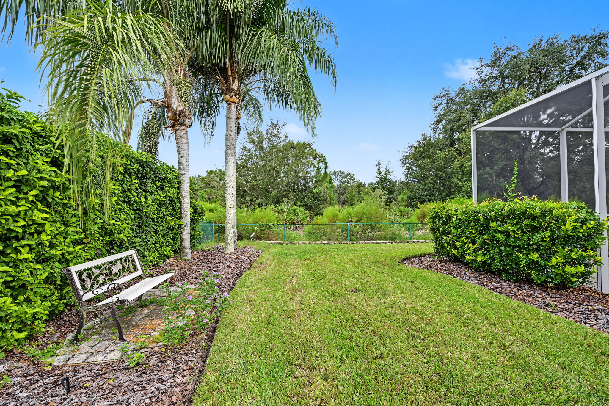 Backyard7