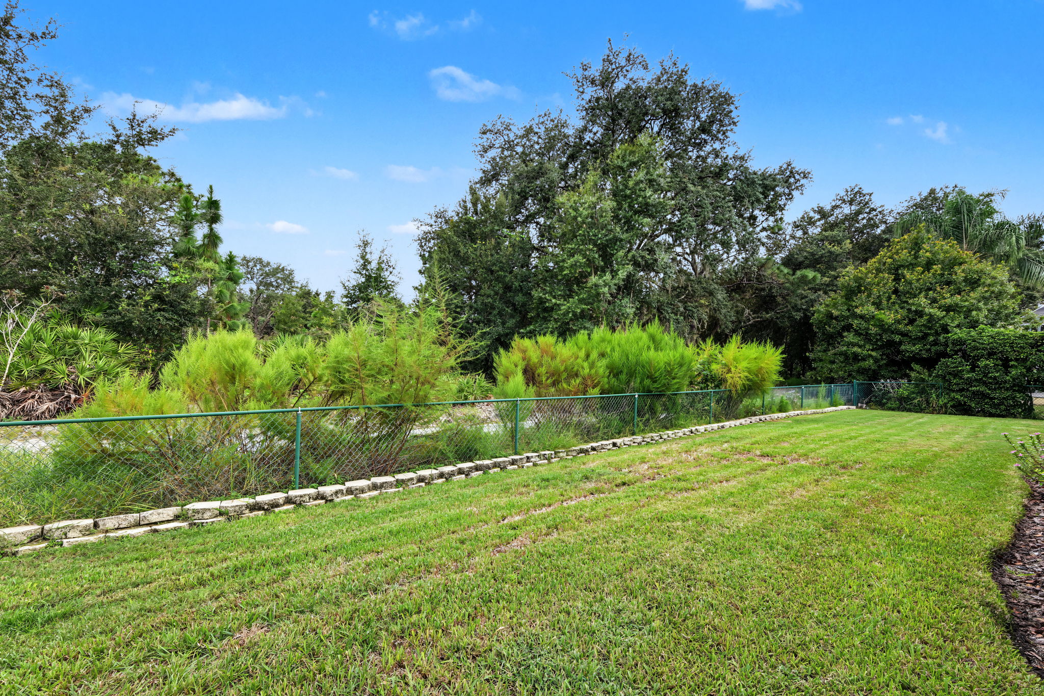 Backyard8