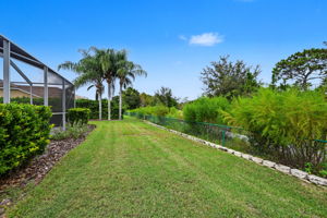 Backyard2