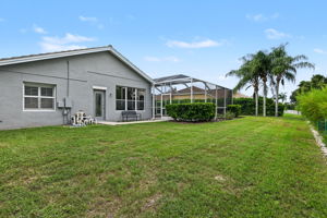 Backyard3