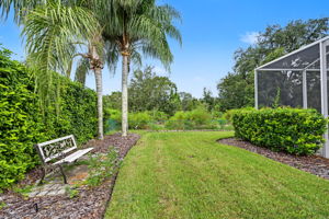 Backyard7
