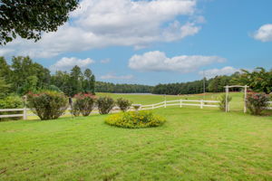 14 Exterior Back Yard