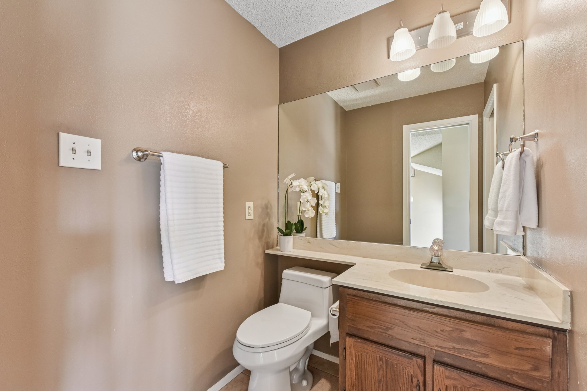 Verbena Dr-L0401-019.jpg