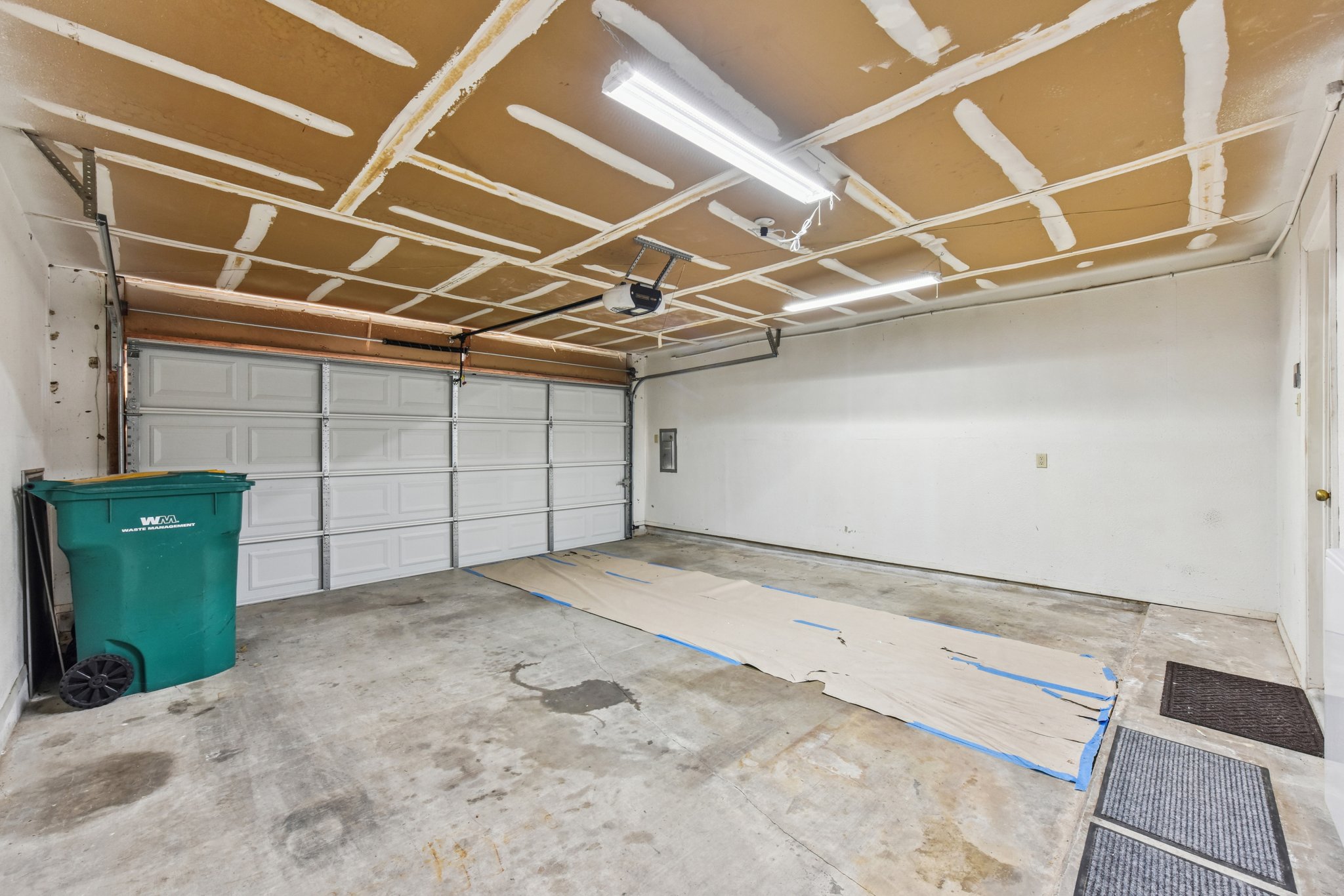 Verbena Dr-L0401-029.jpg