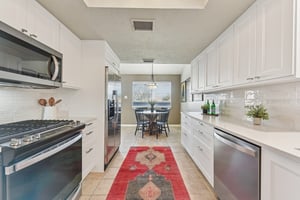 Verbena Dr-L0401-014.jpg