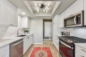 Verbena Dr-L0401-015.jpg