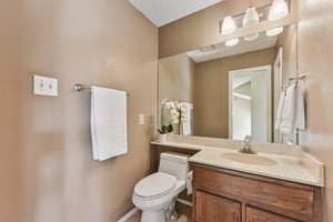 Verbena Dr-L0401-019.jpg