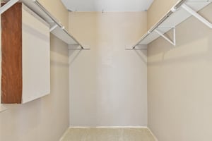 Verbena Dr-L0401-023.jpg