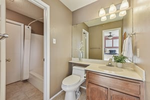 Verbena Dr-L0401-025.jpg