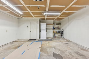 Verbena Dr-L0401-028.jpg