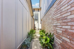 Verbena Dr-L0401-030.jpg