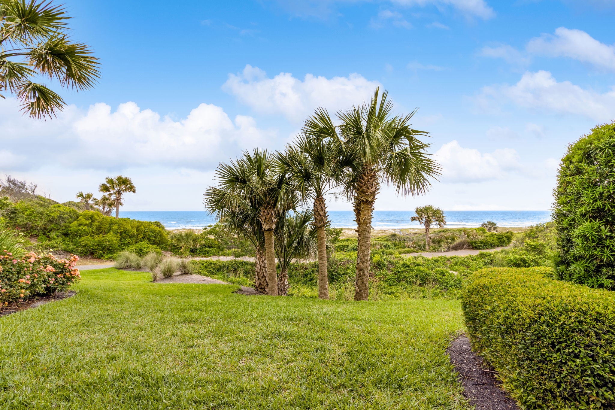Ocean View