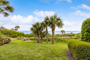 Ocean View