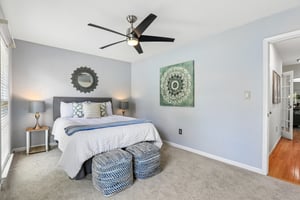 Searay Ct-S1806-019.jpg
