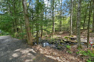  Photo 88
