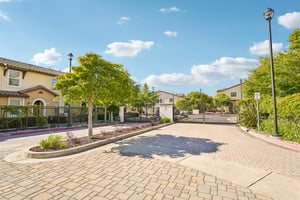 Arcangel Way-S2407-054.jpg