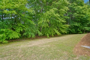 Fieldstone Cir-S0705-038.jpg
