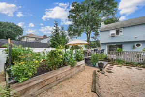 Backyard garden