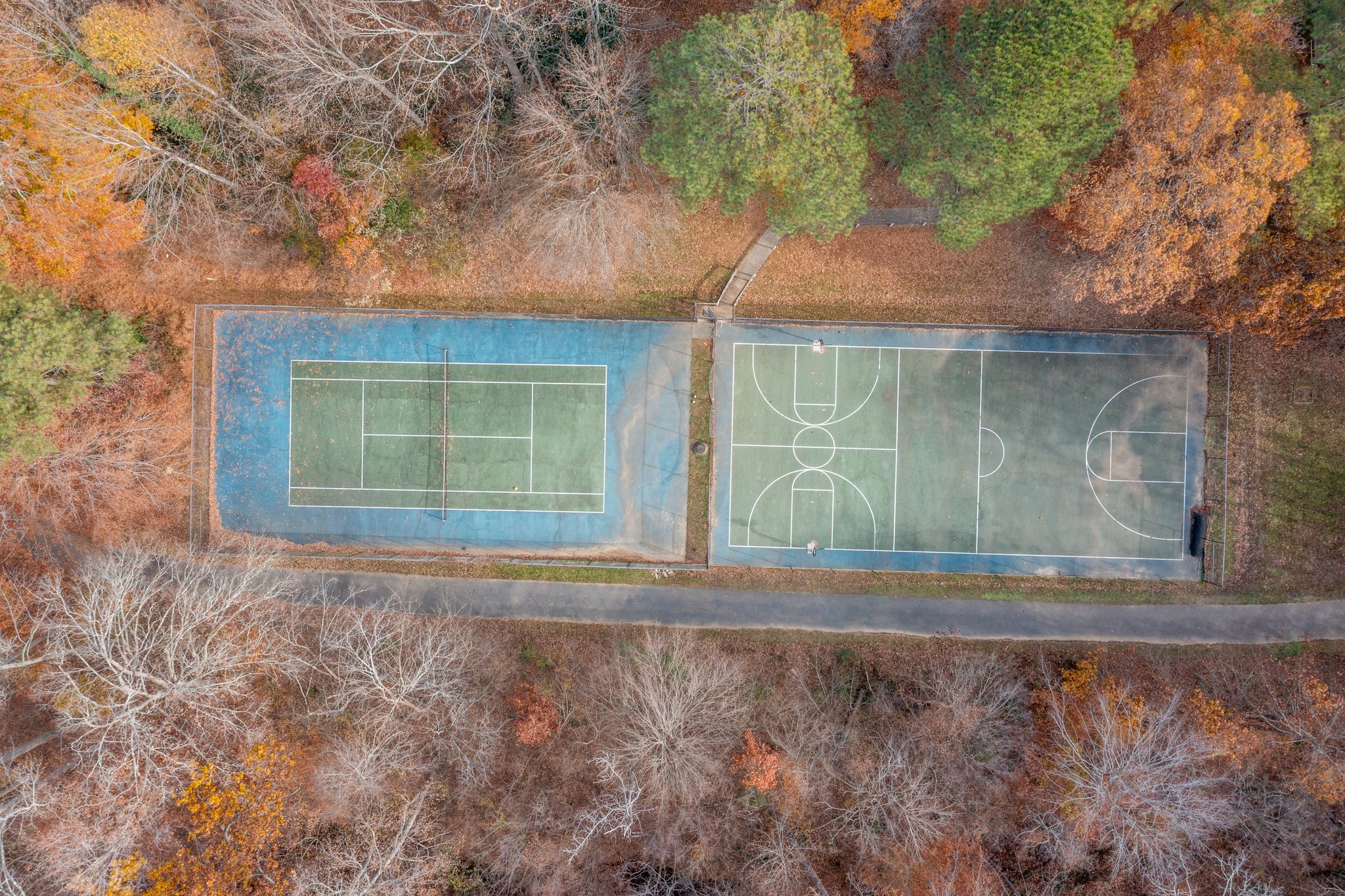 103 Marbury Ct, Cary, NC 27513, USA Photo 9