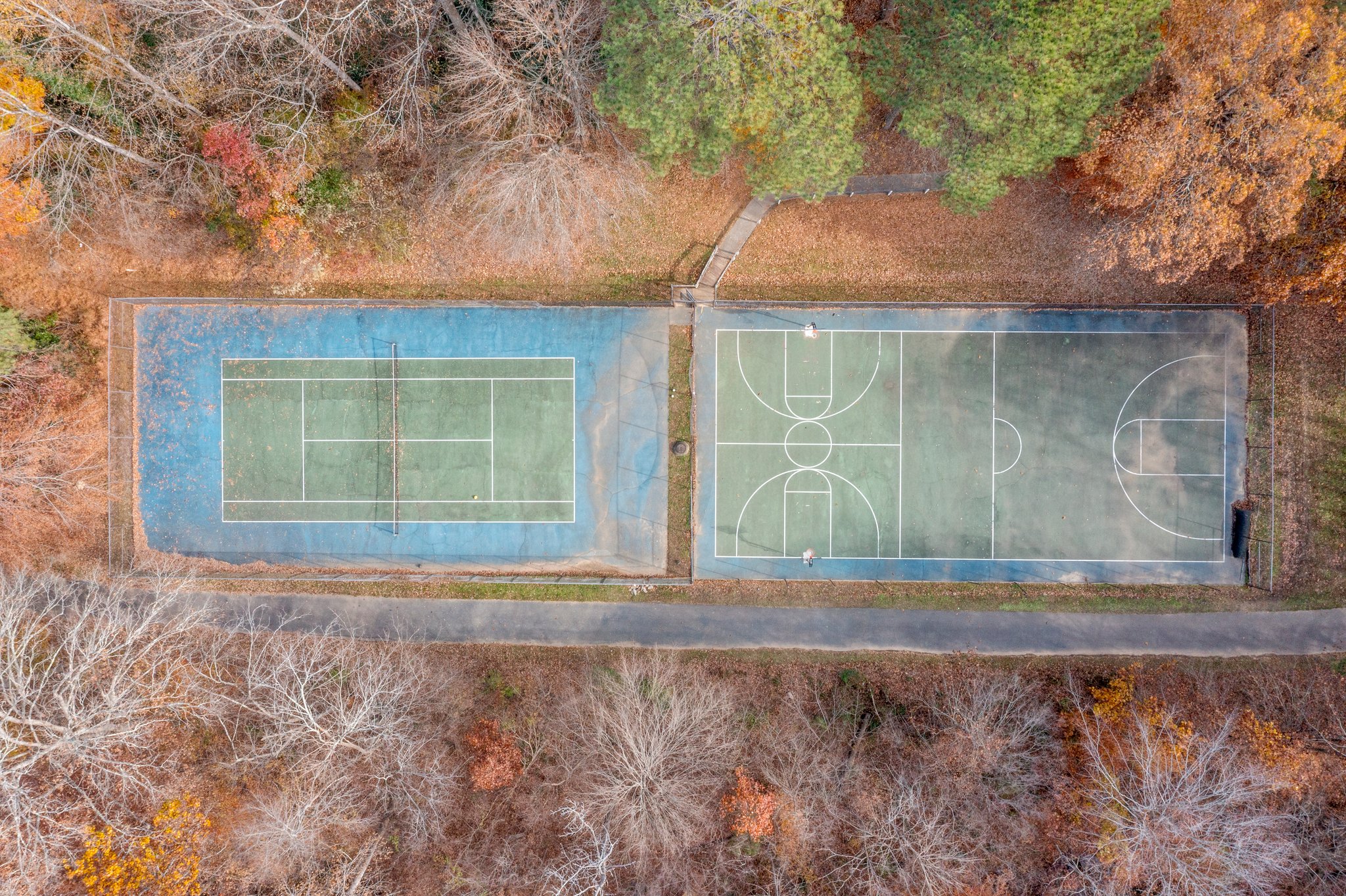 103 Marbury Ct, Cary, NC 27513, USA Photo 10