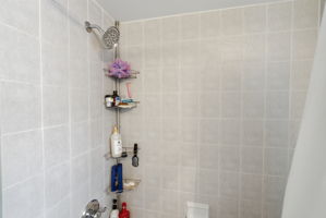  Photo 49