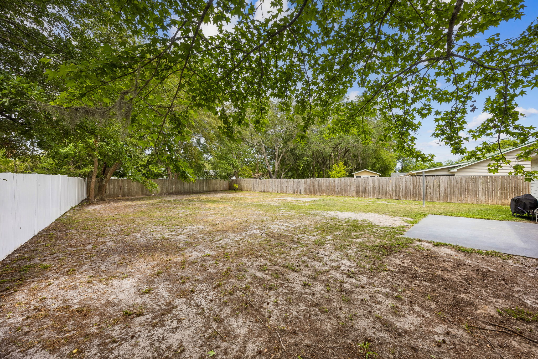 Backyard