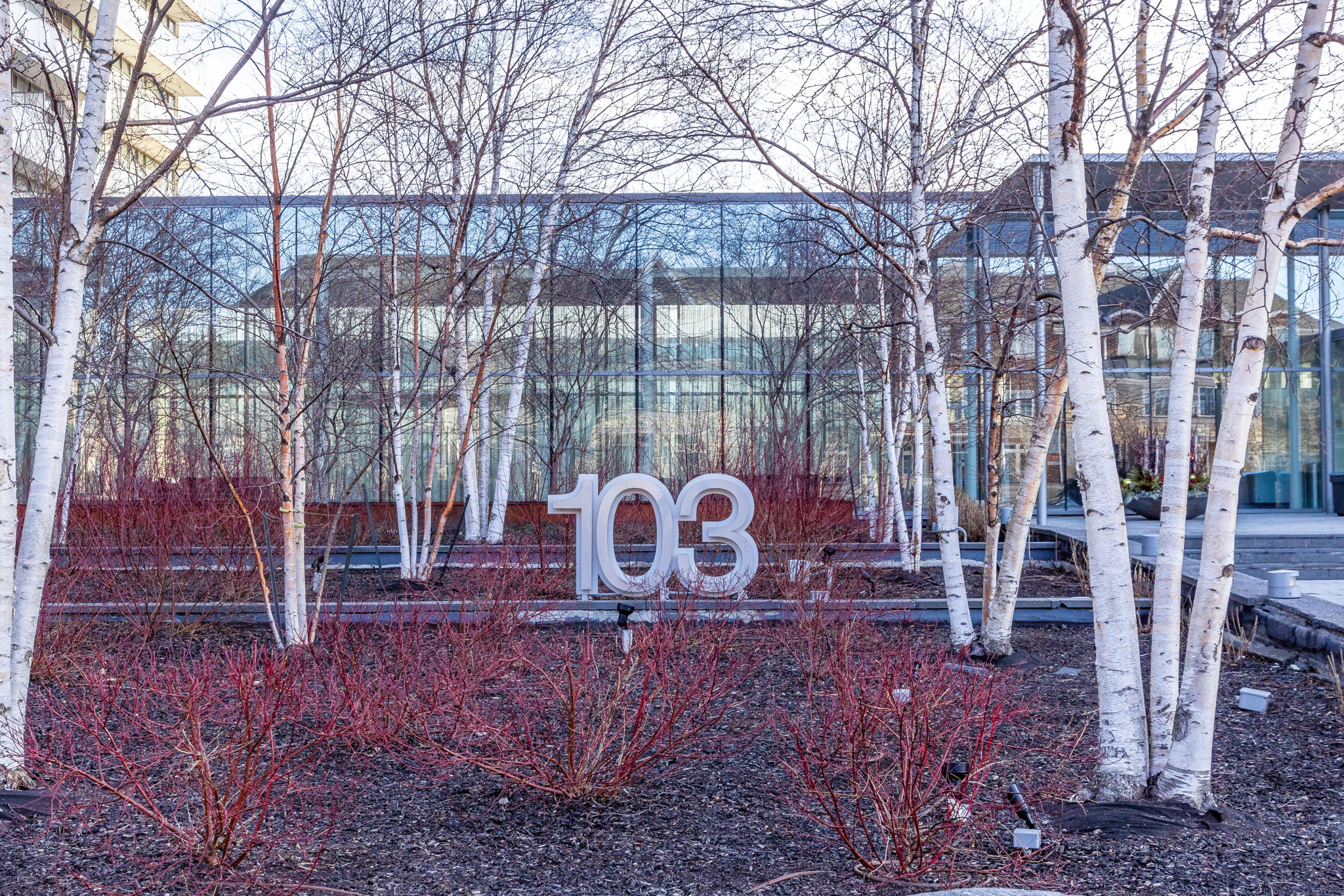 Toronto property showcase — delivered property photograph 2