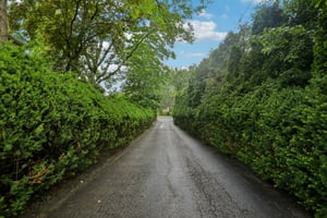 Worthington Rd-2006-062.jpg