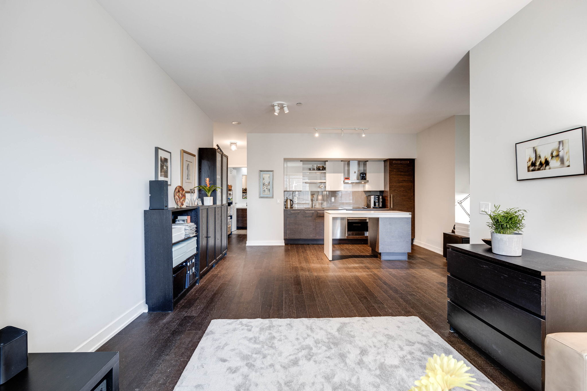 Toronto property showcase — delivered property photograph 15