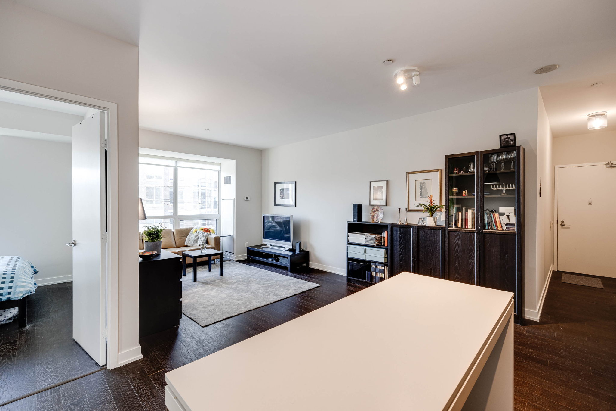 Toronto property showcase — delivered property photograph 10
