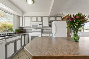 10305 Bighorn Dr, Reno, NV 89508, USA Photo 10